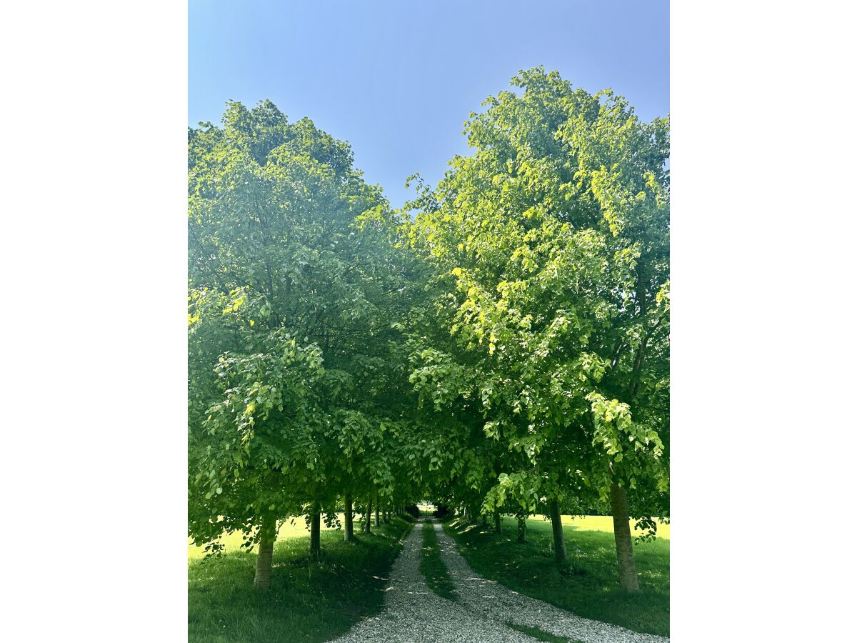 Villa LE HAMEAU maison 4 couchages - Outdoor photo 3