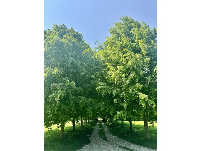 Villa LE HAMEAU maison 4 couchages - Outdoor photo 3