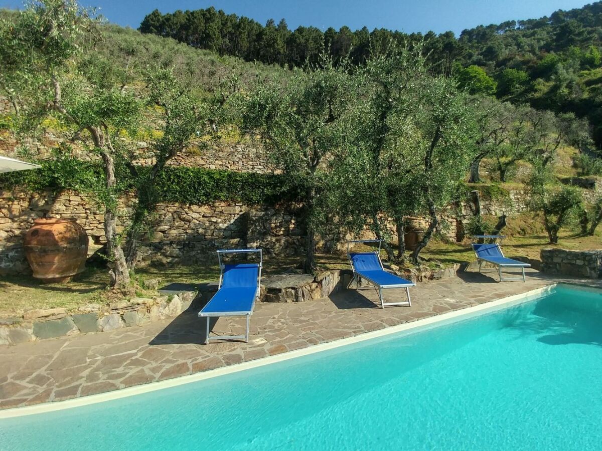 Holiday house Holiday house in Buti with pool (exclusive use) 1 - Outdoor photo 5