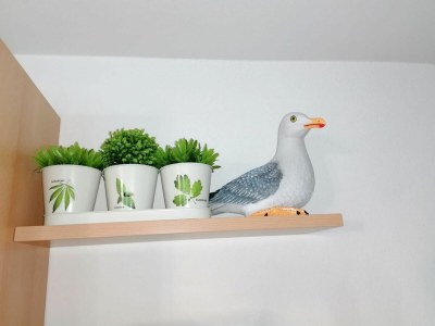 Holiday apartment Appartementhaus Linquenda 08 - Features photo 15