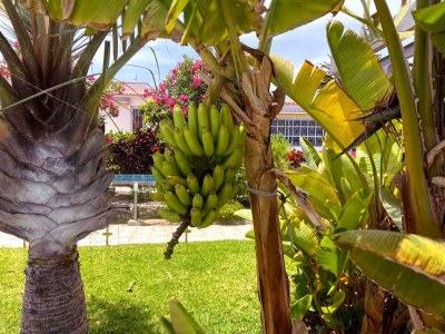 Holiday house Sunnypalms, Casa Mar 22 - Outdoor photo 7