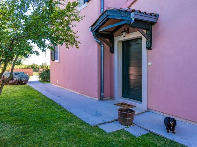 Villa Villa Maddalena with private pool in Tinjan, Istra - Outdoor photo 17