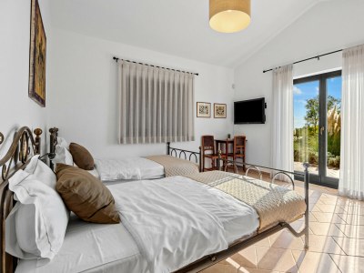 Villa Villa Maddalena with private pool in Tinjan, Istra - Features photo 32