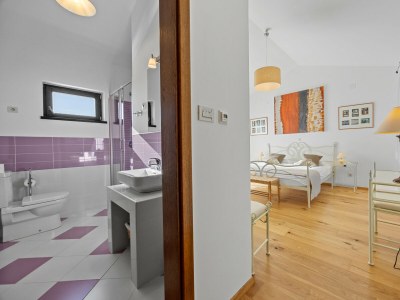 Villa Villa Maddalena with private pool in Tinjan, Istra - Features photo 45