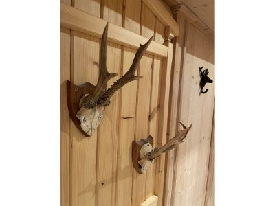 Apartment Chalet Zillertal - Features photo 29