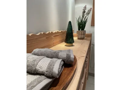 Apartment Chalet Zillertal - Features photo 31