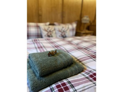 Apartment Chalet Zillertal - Features photo 33