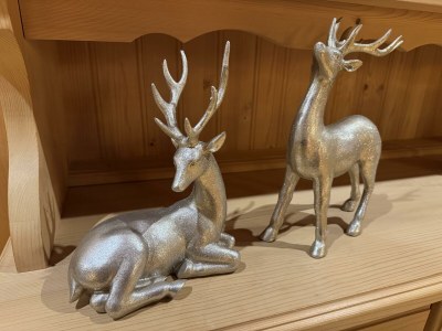 Apartment Chalet Zillertal - Features photo 47