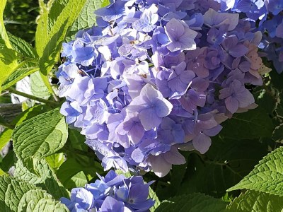 Apartment Wohnung Hammerspitz - 1 Schlafraum - Outdoor photo 24