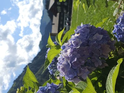 Apartment Wohnung Hammerspitz - 1 Schlafraum - Outdoor photo 25