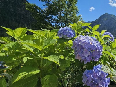 Apartment Wohnung Hammerspitz - 1 Schlafraum - Outdoor photo 26