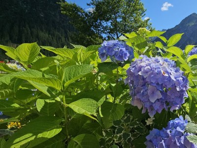 Apartment Wohnung Hammerspitz - 1 Schlafraum - Outdoor photo 27