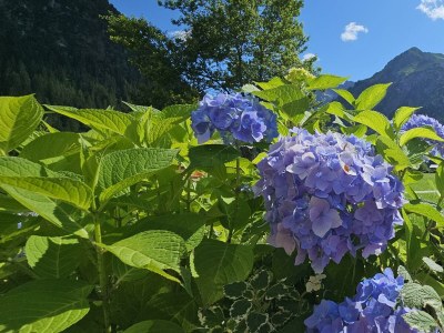 Apartment Wohnung Hammerspitz - 1 Schlafraum - Outdoor photo 28