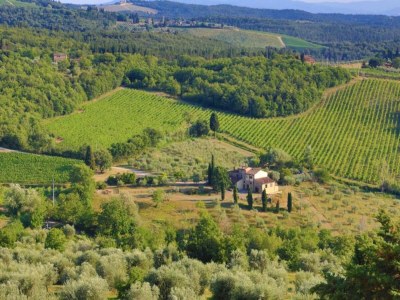 Holiday house Ferienhaus im Chianti mit Pool und Blick auf die Weinberge - Environment photo 14