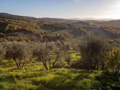 Holiday house Ferienhaus im Chianti mit Pool und Blick auf die Weinberge - Environment photo 15