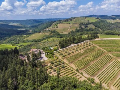Holiday house Ferienhaus im Chianti mit Pool und Blick auf die Weinberge - Environment photo 16