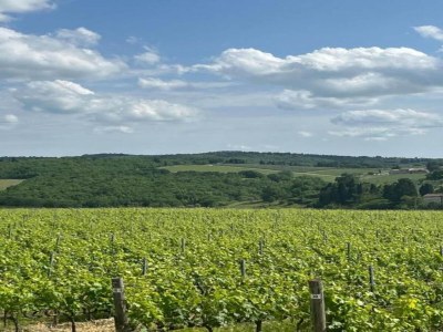 Holiday house Ferienhaus im Chianti mit Pool und Blick auf die Weinberge - Environment photo 22