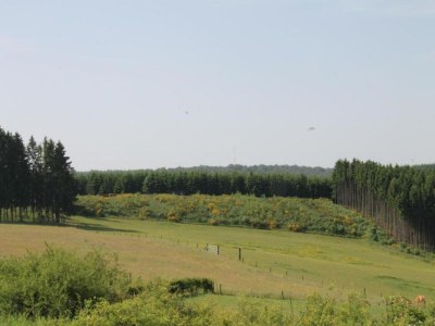 Apartment Holiday Home in Chianti with Pool & Garden - Environment photo 12