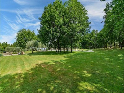 Apartment Holiday Home in Chianti with Pool & Garden - Environment photo 15