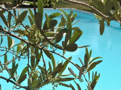 Apartment Holiday Home in Chianti with Pool & Garden - Environment photo 21