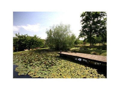 Apartment Holiday Home in Chianti with Pool & Garden - Environment photo 24