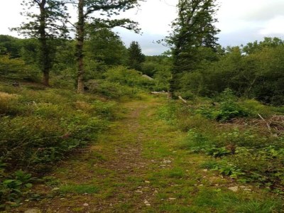 Apartment Holiday Home in Chianti with Pool & Garden - Environment photo 29
