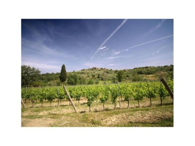 Apartment Holiday Home in Chianti with Pool & Garden - Environment photo 30