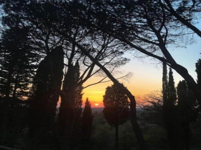 Apartment Holiday Home in Chianti with Pool & Garden - Environment photo 32