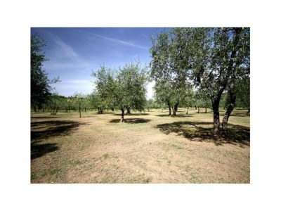 Apartment Holiday Home in Chianti with Pool & Garden - Environment photo 35