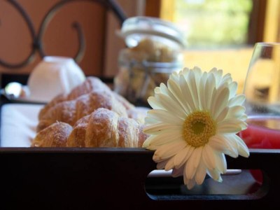 Apartment Holiday Home in Chianti with Pool & Garden - Outdoor photo 38