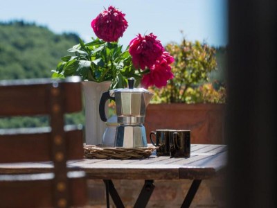 Apartment Holiday Home in Chianti with Pool & Garden - Outdoor photo 39