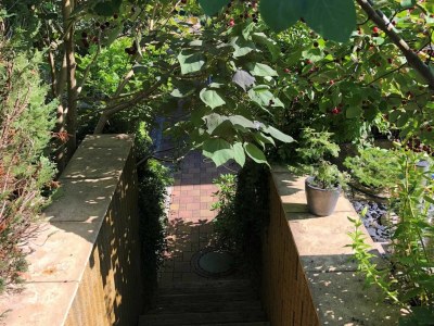 Holiday apartment Ferienwohnung Altenberg 02 - Outdoor photo 2