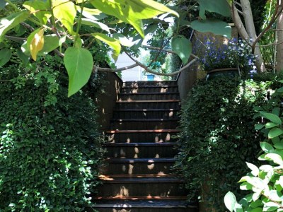 Holiday apartment Ferienwohnung Altenberg 02 - Outdoor photo 3