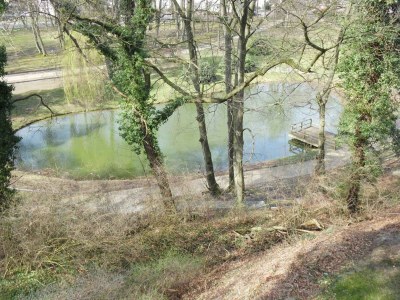 Holiday apartment Residenz am Buchenpark App. 14 - Environment photo 14