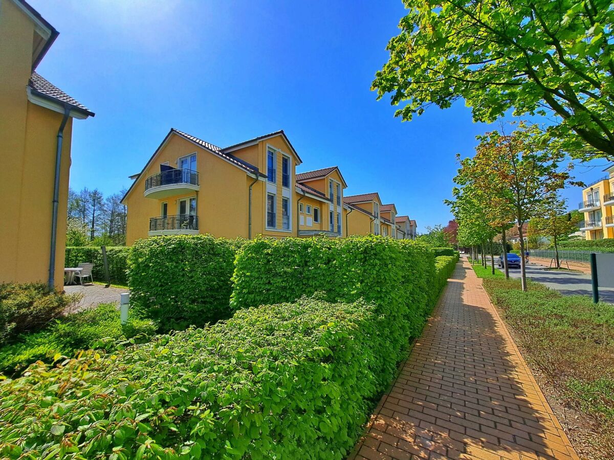 Holiday apartment Schloonseevillen Bansin Wohnung 15 - Outdoor photo 4