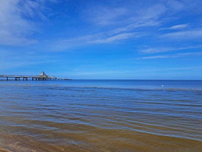 Holiday apartment Ferienwohnungen Fiedler - Environment photo 17