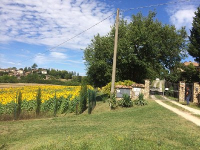 Holiday apartment Casa Del Contadino - Outdoor photo 6