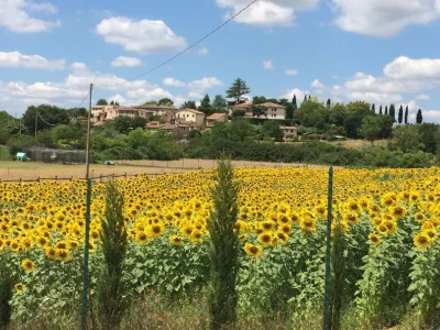 Holiday apartment Casa Del Contadino - Environment photo 17