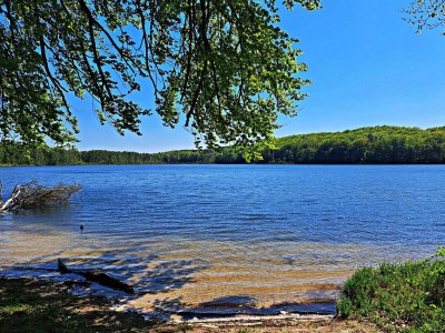 Holiday house Ferienunterkünfte Feldmann - Environment photo 5