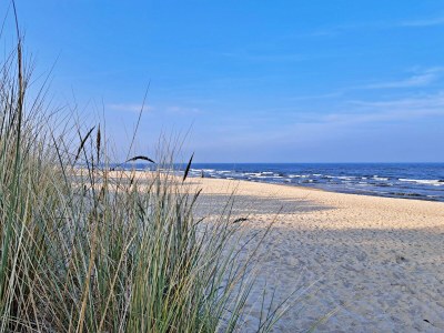 Holiday apartment Haus am Buchenpark 03 - Environment photo 11