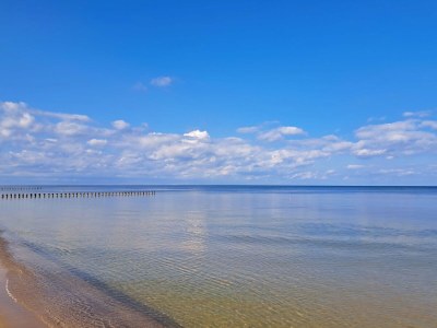 Holiday apartment Haus am Buchenpark 11 - Environment photo 17