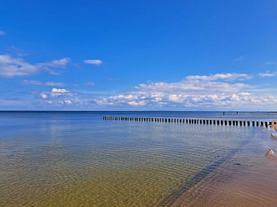 Holiday apartment Ferienwohnungen Familie Müller - Environment photo 14