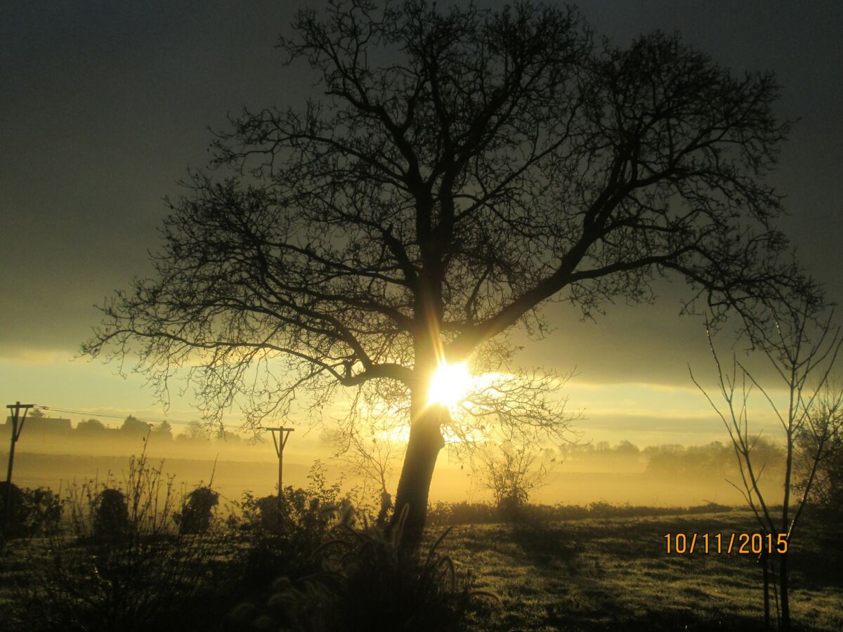 Holiday house Ferienhaus in Crux-la-Ville am See - Outdoor photo 4