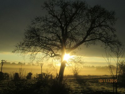 Holiday house Ferienhaus in Crux-la-Ville am See - Outdoor photo 4