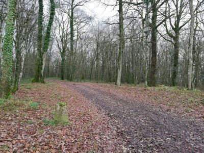 Holiday house Ferienhaus in Crux-la-Ville am See - Environment photo 35