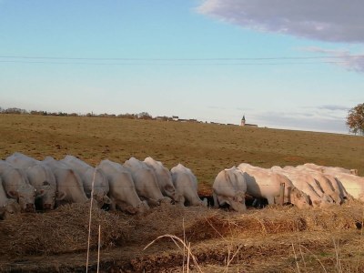Holiday house Ferienhaus in Crux-la-Ville am See - Outdoor photo 36