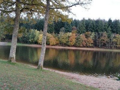 Holiday house Ferienhaus in Crux-la-Ville am See - Outdoor photo 39