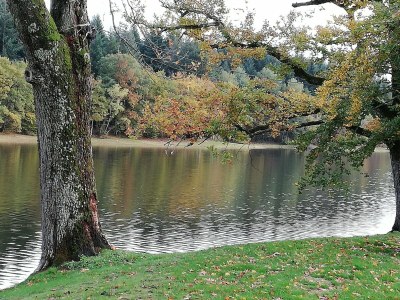 Holiday house Ferienhaus in Crux-la-Ville am See - Outdoor photo 40