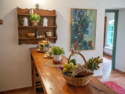 Farmhouse Wohnung in der Toskana nahe Pisa und Strand - Outdoor photo 18