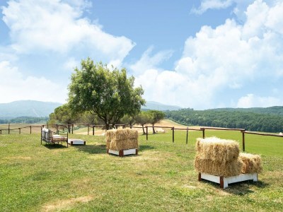 Farmhouse Apartment near Pisa, Beaches - Outdoor photo 4